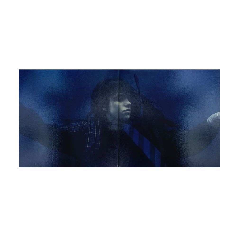 HIT ME HARD AND SOFT Anniversary Edition Vinyl - Image 6