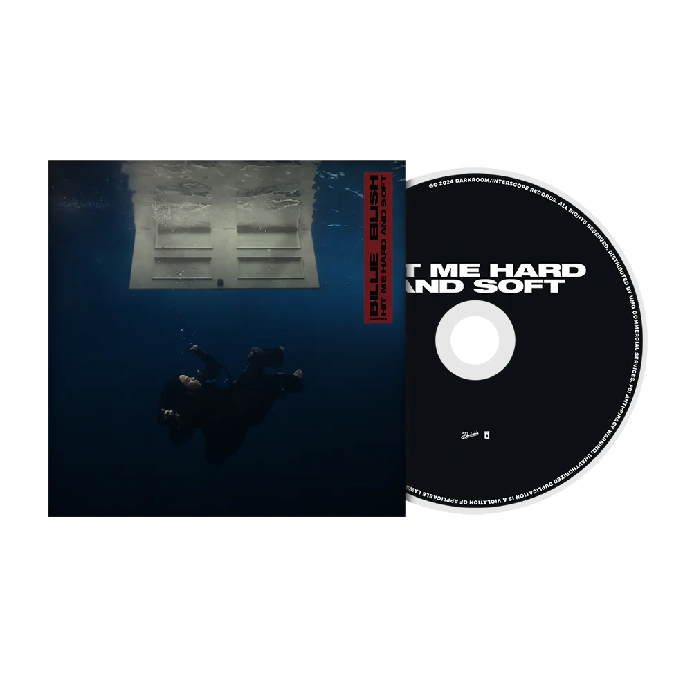 HIT ME HARD AND SOFT Standard CD - Image 3