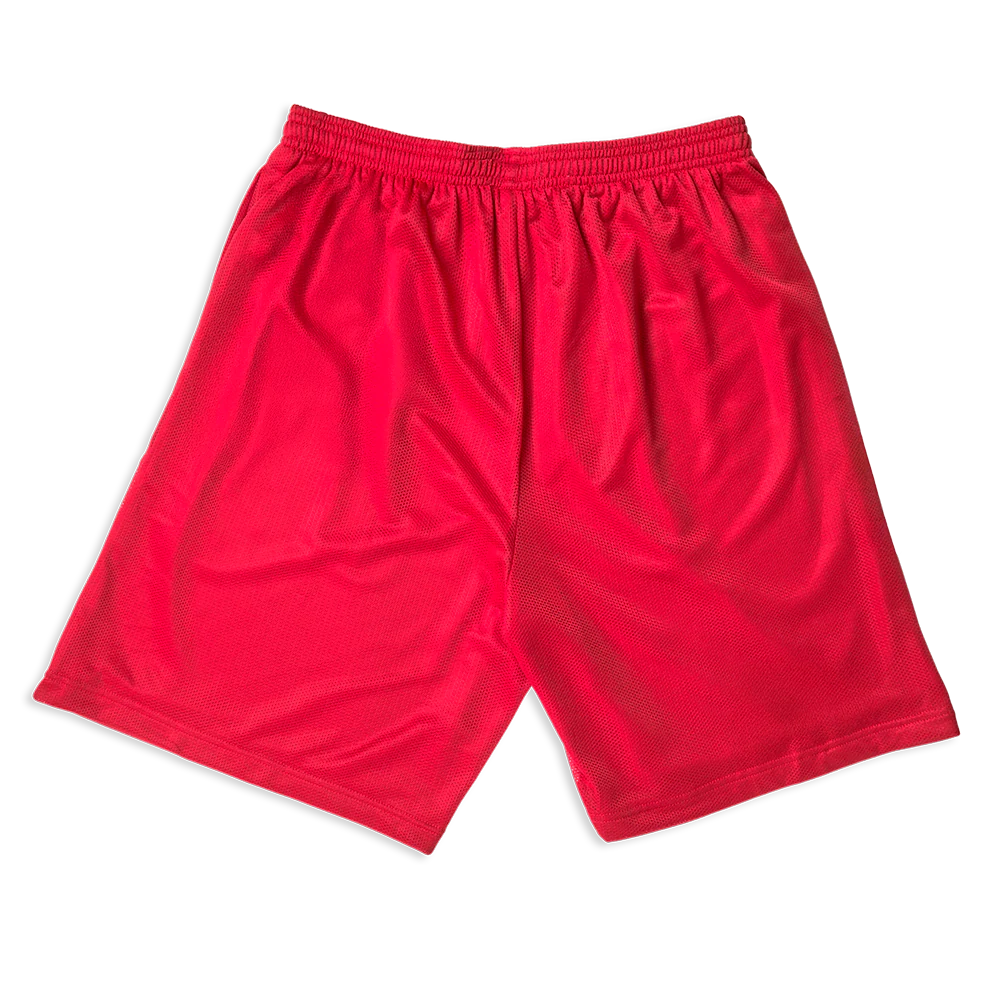 Hit Me Hard Mesh Shorts - Image 4