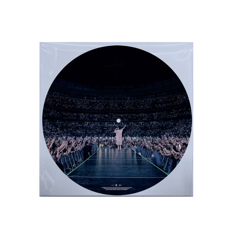 'When We All Fall Asleep, Where Do We Go?' Picture Disc - Image 3